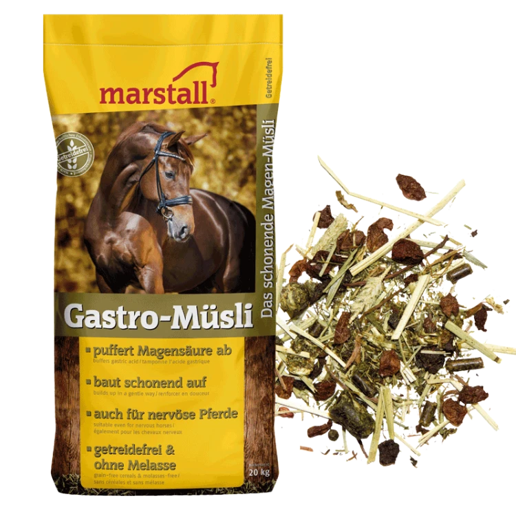 Gastro-Musli(4).jpg