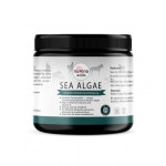 NuVena Sea Algae  350kg algi morskie dla koni 