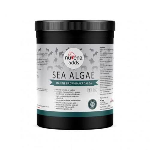 NuVena Sea Algae  900g algi morskie dla koni 