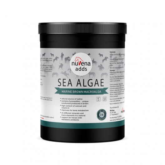 nuvena-sea-algae-900g-ascophyllum-nodosum-algi-dla-koni.jpg