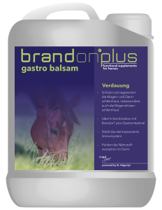 Brandon+ Gastro Balsam 2,5l balsam na wrzody