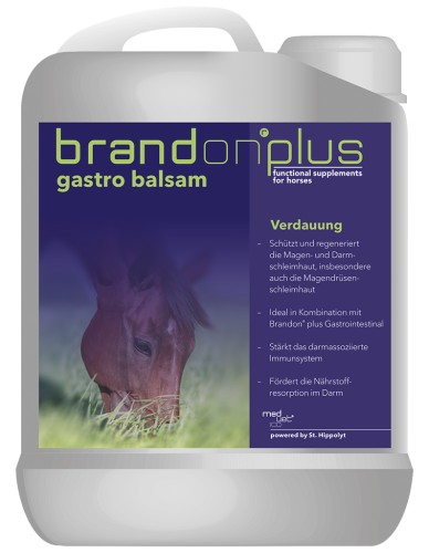 Brandon+ Gastro Balsam 2,5l balsam na wrzody