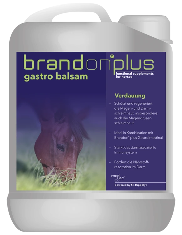 Brandonplus-Gastrobalsam-3D.png