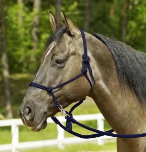 Kantar sznurkowy RINGE