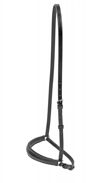 TN124002.jpg