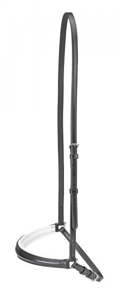 TN124002_g51.jpg