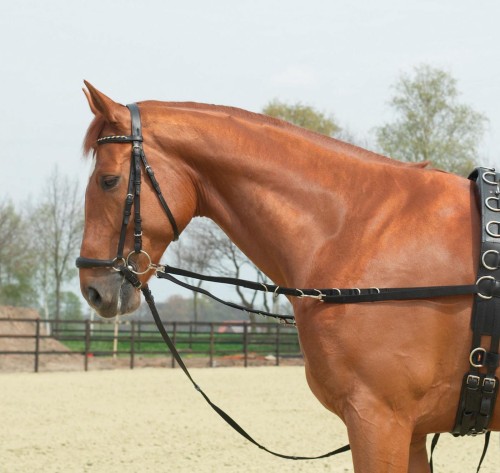 Wypinacze OESEN-STARR