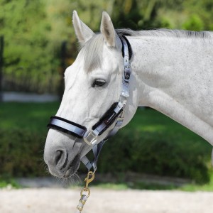 Kantar Horsenjoy "Rainbow Fur"