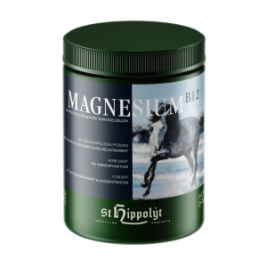 ST HIPPOLYT Magnesium B12 1kg suplement z magnezem i witaminą B12