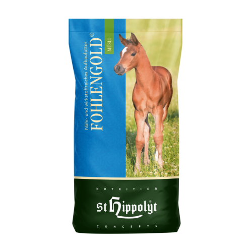 ST HIPPOLYT Fohlengold Musli 20kg pasza dla źrebiąt