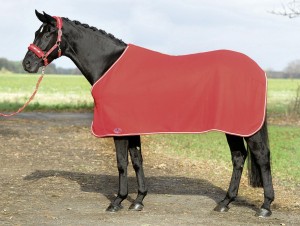 Derka osuszająca SHOW