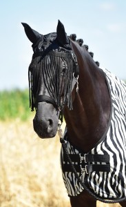 Nauszniki FLY PROTECTOR