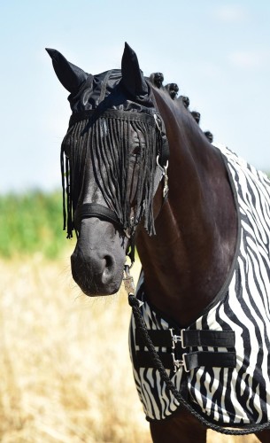 Nauszniki FLY PROTECTOR