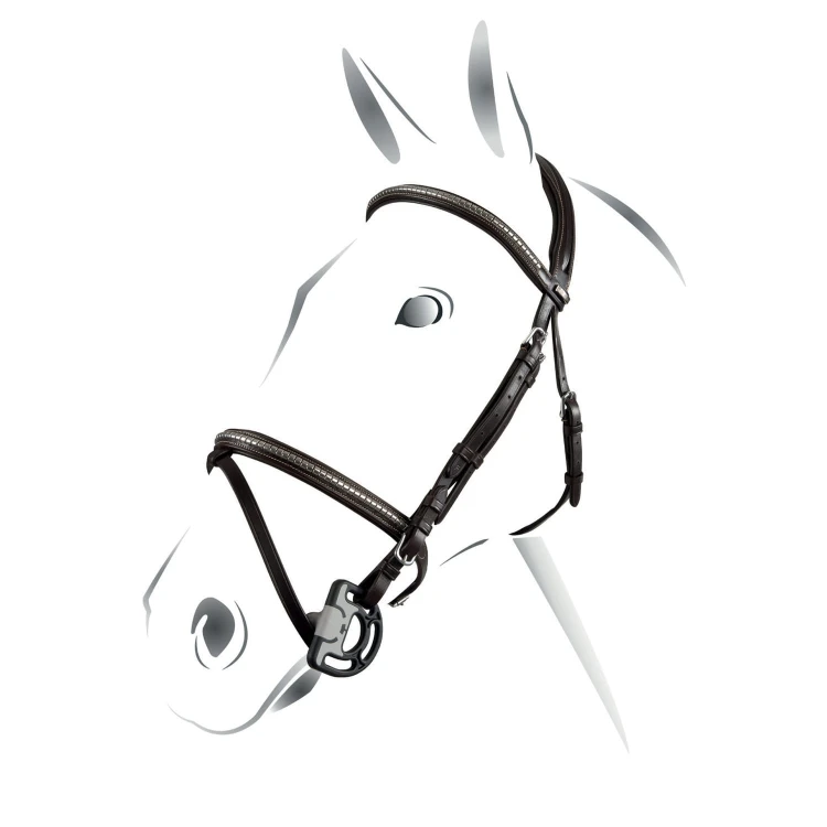 0018097_briglia-equestro-clincher-np.jpeg