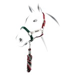 Kantar z uwiązem FLAGGY EQUESTRO