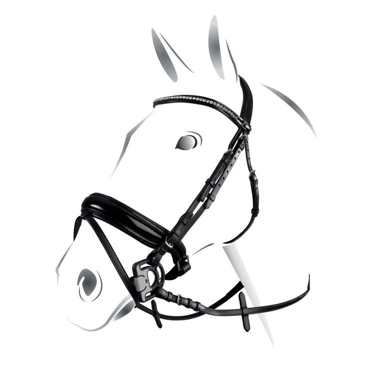 0018076_briglia-equestro-new-crystal.jpeg
