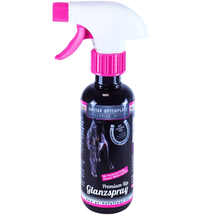pol_pl_Premium-Top-Glanzspray-GirlzSerie-Optenplatz-6028_1.jpg