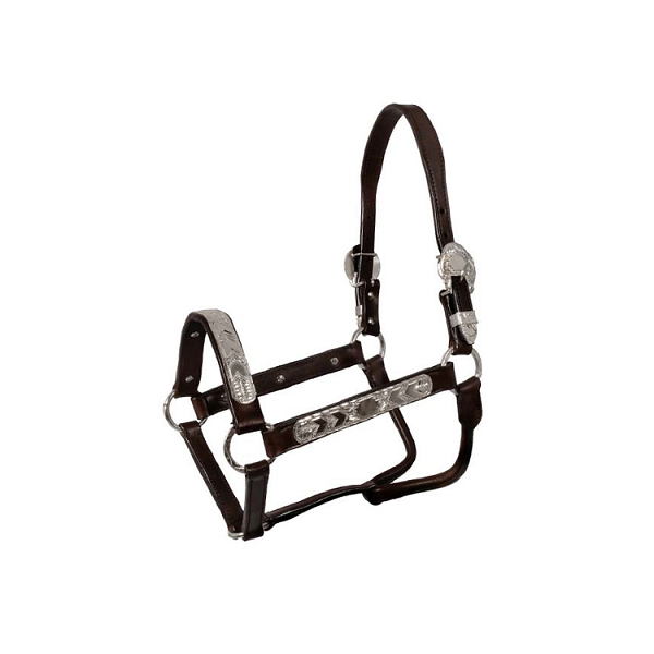 PL006101.png