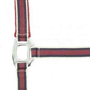 Kantar EQUITHÈME "LIGNE"