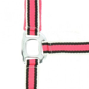 Kantar EQUITHÈME "LIGNE"