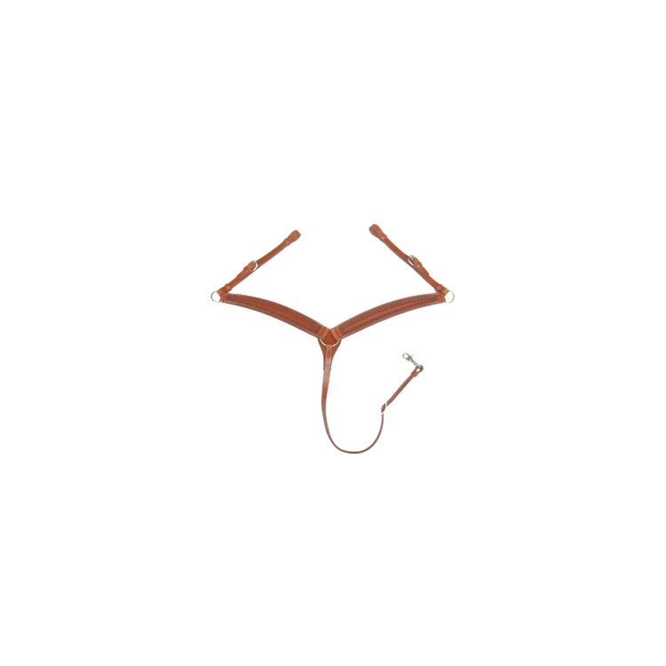 0020451_pettorale-border-stamp-pools.jpeg