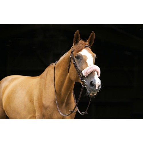 Futerko na nachrapnik EQUITHÈME "TEDDY" 