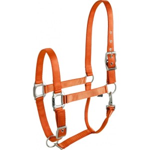 Kantar EQUITHÈME “ÉCLAT” 