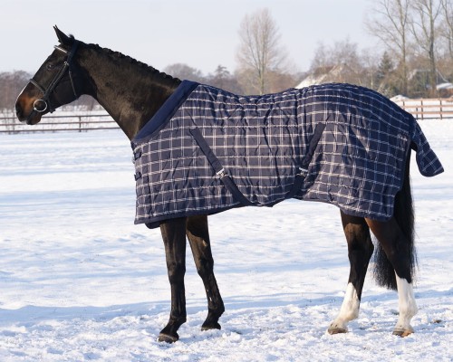 Derka stajenna Luxury 300g QHP