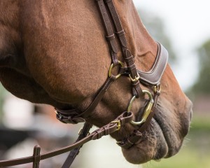 Ogłowie anatomiczne DEVI QHP