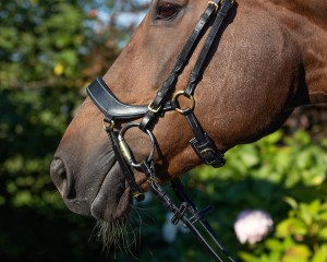 Ogłowie anatomiczne DEVI QHP