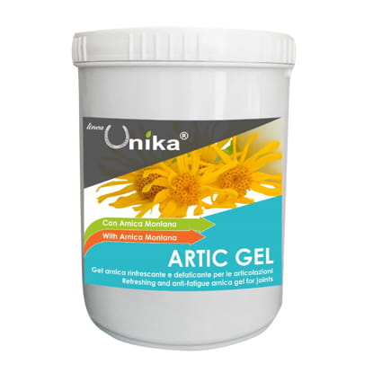 0021225_artic-gel-1-kg-lu0081_415.jpeg