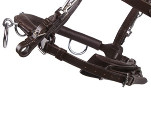 Kawecan skórzany brązowy QHP