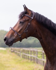 Kawecan skórzany brązowy QHP