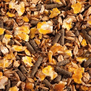 EGGERSMANN F Musli Wellness 30kg podstawowe musli bez owsa