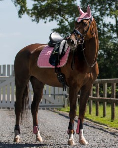Czaprak Florence Flamingo pink QHP