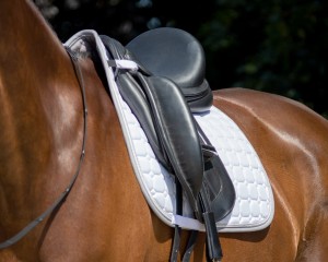 Czaprak Florence White QHP
