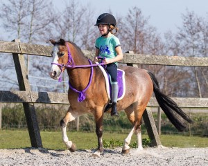 Pad do jazdy na oklep QHP Passion flower