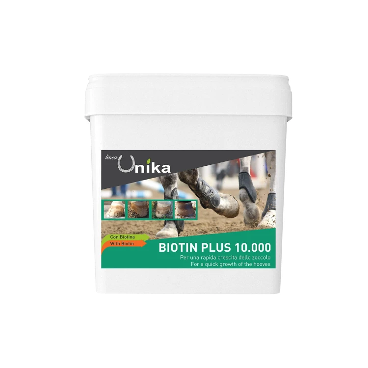 0021201_uk00320-biotin-plus-10000-1-kg-lu0005 (1).jpeg