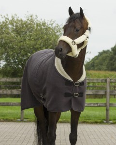 Kantar z futrem ALASKA QHP