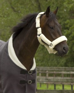 Kantar z futrem ALASKA QHP