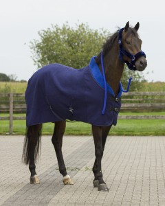 Kantar z futrem ALASKA QHP