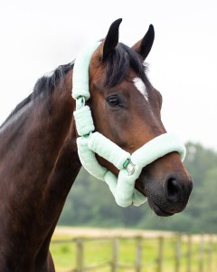 Kantar z futrem ALASKA QHP