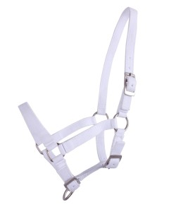 Kantar źrebięcy QHP