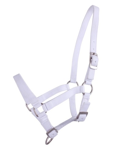 Kantar źrebięcy QHP