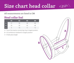Kantar źrebięcy QHP