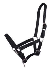 Kantar źrebięcy QHP