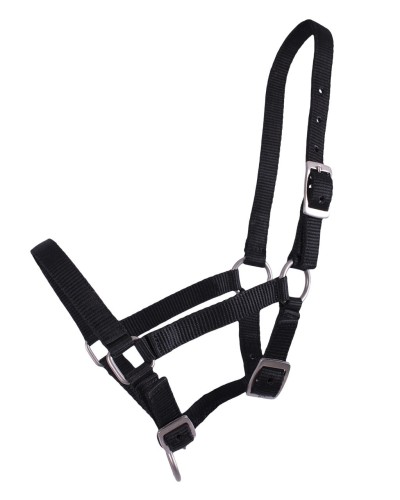 Kantar źrebięcy QHP