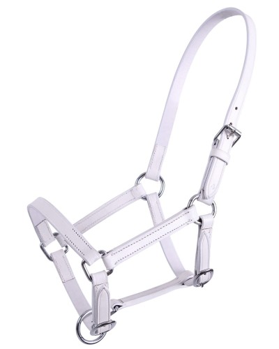 Kantar źrebięcy QHP CHICO