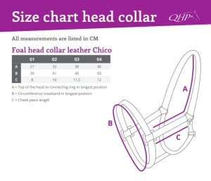 Kantar źrebięcy QHP CHICO