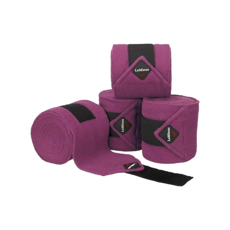 0022116_fasce-lemieux-polo-plum-set-da-3.jpeg